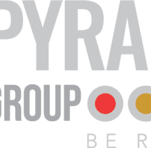 Pyramedia Group Logo Light